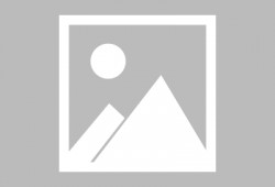 鲁山安然爆料最新消息新闻,揭秘事件背后惊人真相